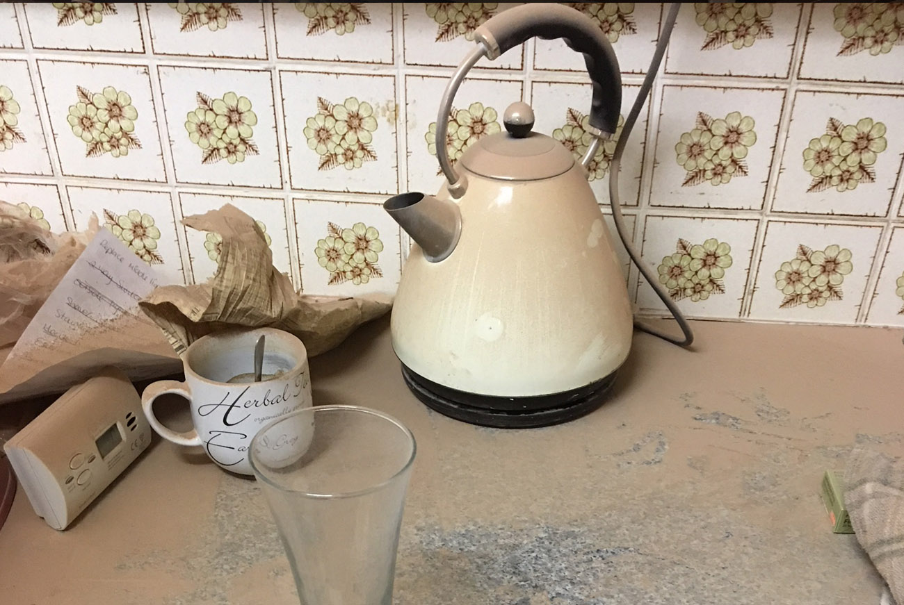 Bissell crosswave cleaner